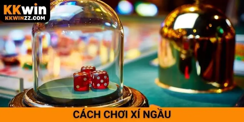 Cách chơi xí ngầu